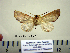 ( - Ed3-7-1 B2840-22)  @12 [ ] Copyright (2010) Unspecified Research Collection of Paul Thiaucourt