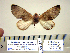  ( - Ed3-7-11 B2840-23)  @13 [ ] Copyright (2010) Unspecified Research Collection of Paul Thiaucourt