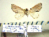  ( - Ed3-7-11 B2840-23)  @13 [ ] Copyright (2010) Unspecified Research Collection of Paul Thiaucourt