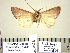  ( - Ed10-5-2 B2840-26)  @12 [ ] Copyright (2010) Unspecified Research Collection of Paul Thiaucourt