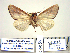  ( - Ed11-1-11 B2840-30)  @13 [ ] Copyright (2010) Unspecified Research Collection of Paul Thiaucourt