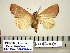  ( - Ed11-3-12 B2840-31)  @13 [ ] Copyright (2010) Unspecified Research Collection of Paul Thiaucourt