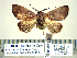  ( - Ed11-8-10 B2840-32)  @14 [ ] Copyright (2010) Unspecified Research Collection of Paul Thiaucourt