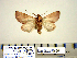  ( - Ed12-1-10 B2840-34)  @12 [ ] Copyright (2010) Unspecified Research Collection of Paul Thiaucourt