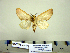  ( - Ac6-8-9 B2840-39)  @13 [ ] Copyright (2010) Unspecified Research Collection of Paul Thiaucourt