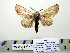  ( - Ac6-1-8 B2840-40)  @13 [ ] Copyright (2010) Unspecified Research Collection of Paul Thiaucourt