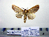  ( - Ac6-1-8 B2840-40)  @13 [ ] Copyright (2010) Unspecified Research Collection of Paul Thiaucourt