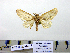  ( - Ac6-5-7 B2840-41)  @13 [ ] Copyright (2010) Unspecified Research Collection of Paul Thiaucourt
