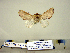  ( - Db18-7-1 B2840-42)  @12 [ ] Copyright (2010) Unspecified Research Collection of Paul Thiaucourt