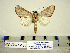  ( - Ed8-8-1 B2840-44)  @12 [ ] Copyright (2010) Unspecified Research Collection of Paul Thiaucourt