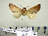  ( - Ed8-4b-6 B2840-48)  @13 [ ] Copyright (2010) Unspecified Research Collection of Paul Thiaucourt
