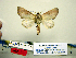  ( - Db20-6-3 B2840-52)  @13 [ ] Copyright (2010) Unspecified Research Collection of Paul Thiaucourt