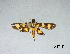  ( - AA040)  @11 [ ] by (2020) Unspecified Universidad del Valle