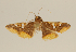  ( - PNG 2971)  @13 [ ] Unspecified (default): All Rights Reserved  Unspecified Unspecified