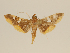  ( - PNG 3164)  @13 [ ] Unspecified (default): All Rights Reserved  Unspecified Unspecified