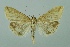  ( - BC MTD 00103)  @14 [ ] Unspecified (default): All Rights Reserved  Unspecified Unspecified