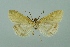  ( - BC MTD 00104)  @11 [ ] Unspecified (default): All Rights Reserved  Unspecified Unspecified