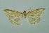  ( - BC MTD 00105)  @13 [ ] Unspecified (default): All Rights Reserved  Unspecified Unspecified