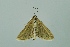  ( - BC MTD 00106)  @12 [ ] Unspecified (default): All Rights Reserved  Unspecified Unspecified