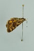  ( - BC MTD 00110)  @12 [ ] Unspecified (default): All Rights Reserved  Unspecified Unspecified
