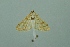  ( - BC MTD 00124)  @12 [ ] Unspecified (default): All Rights Reserved  Unspecified Unspecified