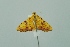  ( - BC MTD 00186)  @14 [ ] Unspecified (default): All Rights Reserved  Unspecified Unspecified