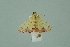  ( - BC MTD 00209)  @13 [ ] Unspecified (default): All Rights Reserved  Unspecified Unspecified