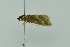  ( - BC MTD 00218)  @12 [ ] Unspecified (default): All Rights Reserved  Unspecified Unspecified