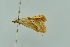  ( - BC MTD 00258)  @13 [ ] Unspecified (default): All Rights Reserved  Unspecified Unspecified