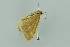  ( - BC MTD 00264)  @13 [ ] Unspecified (default): All Rights Reserved  Unspecified Unspecified