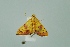  ( - BC MTD 00274)  @14 [ ] Unspecified (default): All Rights Reserved  Unspecified Unspecified