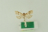  (Udea bipunctalis - BC MTD Lep 01609)  @12 [ ] CreativeCommons - Attribution Non-Commercial (2011) M. Nuss Senckenberg Museum of Zoology, Dresden