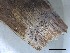  ( - O-F-258292)  @11 [ ] by-nc-sa (2021) Unspecified Norwegian Institute for Nature Research