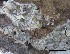  ( - O-F-258271)  @11 [ ] by-nc-sa (2021) Unspecified Norwegian Institute for Nature Research
