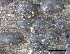  ( - O-F-258319)  @11 [ ] by-nc-sa (2021) Unspecified Norwegian Institute for Nature Research