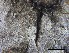  ( - O-F-258317)  @11 [ ] by-nc-sa (2021) Unspecified Norwegian Institute for Nature Research