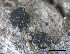  ( - O-F-258317)  @11 [ ] by-nc-sa (2021) Unspecified Norwegian Institute for Nature Research