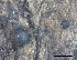  ( - O-F-258316)  @11 [ ] by-nc-sa (2021) Unspecified Norwegian Institute for Nature Research
