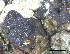  ( - O-F-258315)  @11 [ ] by-nc-sa (2021) Unspecified Norwegian Institute for Nature Research