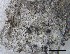  ( - O-F-258314)  @11 [ ] by-nc-sa (2021) Unspecified Norwegian Institute for Nature Research