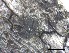  ( - O-F-258314)  @11 [ ] by-nc-sa (2021) Unspecified Norwegian Institute for Nature Research