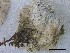  ( - O-L-228342)  @11 [ ] by-nc-sa (2021) Unspecified Norwegian Institute for Nature Research