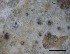  ( - O-L-228342)  @11 [ ] by-nc-sa (2021) Unspecified Norwegian Institute for Nature Research