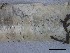  ( - O-L-228350)  @11 [ ] by-nc-sa (2021) Unspecified Norwegian Institute for Nature Research