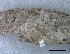  ( - O-L-228334)  @11 [ ] by-nc-sa (2021) Unspecified Norwegian Institute for Nature Research