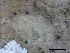  ( - O-L-228334)  @11 [ ] by-nc-sa (2021) Unspecified Norwegian Institute for Nature Research