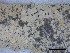  ( - O-L-228343)  @11 [ ] by-nc-sa (2021) Unspecified Norwegian Institute for Nature Research