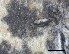  ( - O-L-228343)  @11 [ ] by-nc-sa (2021) Unspecified Norwegian Institute for Nature Research