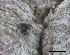  ( - O-F-258263)  @11 [ ] by-nc-sa (2021) Unspecified Norwegian Institute for Nature Research