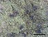  ( - O-L-228338)  @11 [ ] by-nc-sa (2021) Unspecified Norwegian Institute for Nature Research